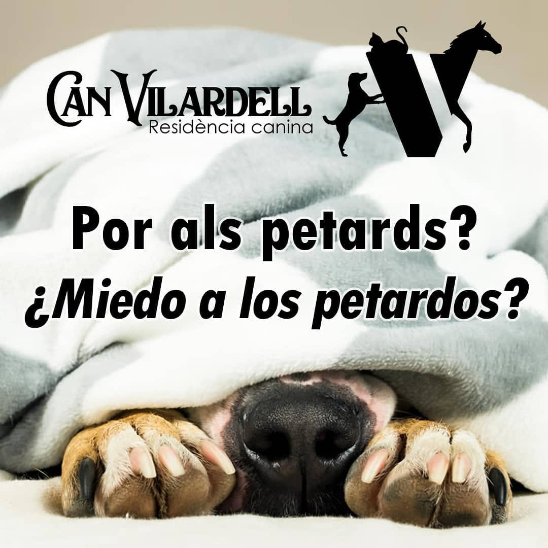 Refugio anti-petardos