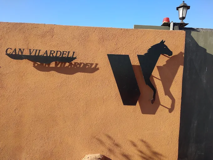 Perro en Can Vilardell